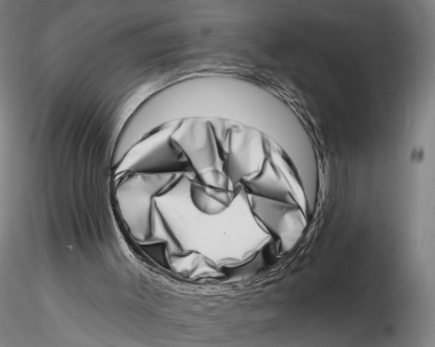 X0000115730003200912101503