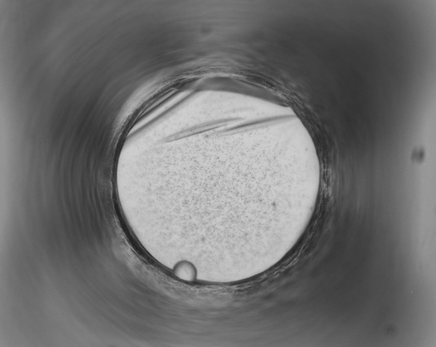 X0000115730004200912101503