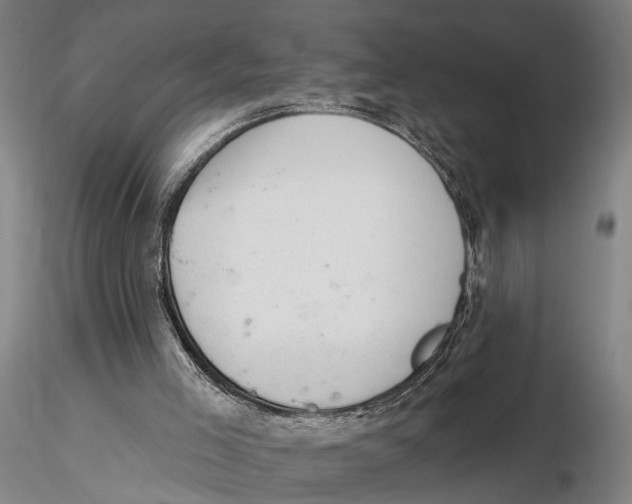 X0000115730005200912101503
