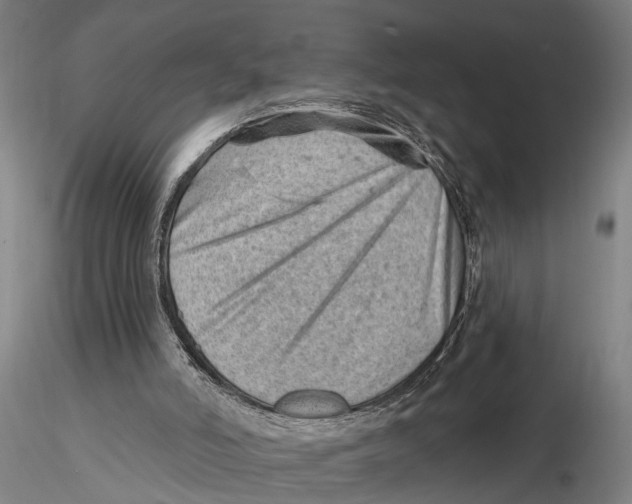 X0000115730006200912101503