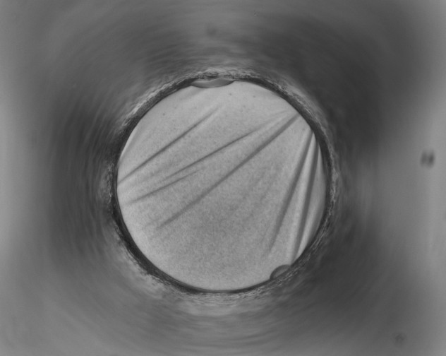 X0000115730009200912101503
