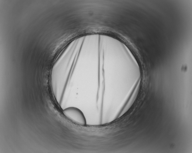 X0000115730010200912101503