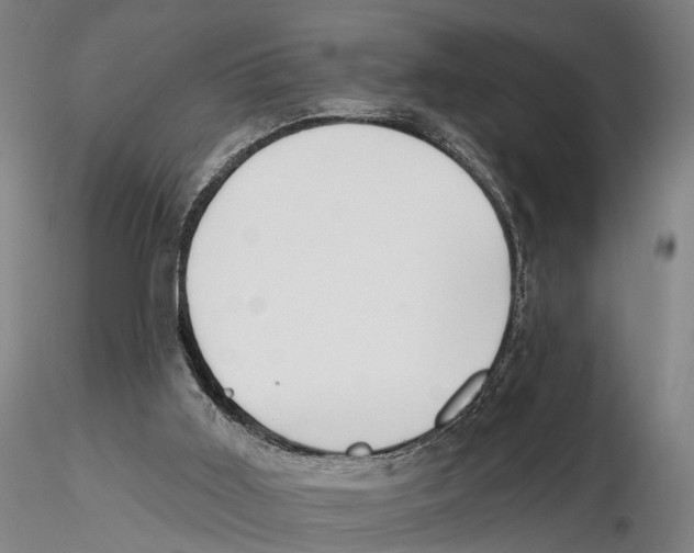 X0000115730011200912101503