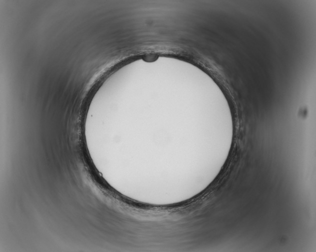 X0000115730012200912101503