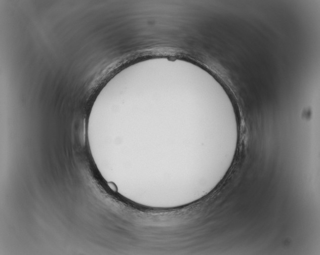 X0000115730013200912101503