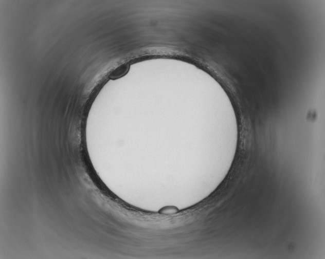 X0000115730015200912101503