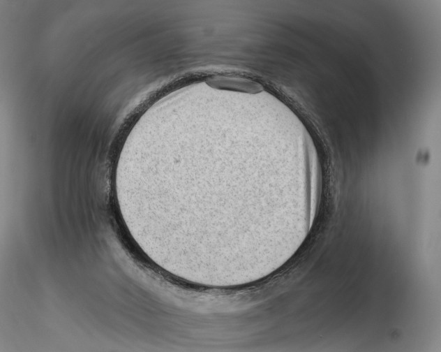 X0000115730016200912101503