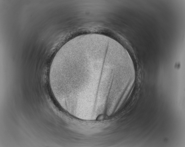 X0000115730018200912101502