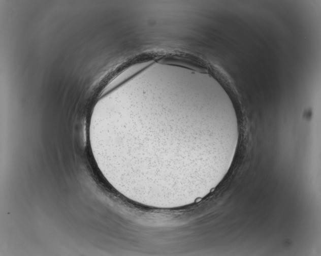 X0000115730020200912101502