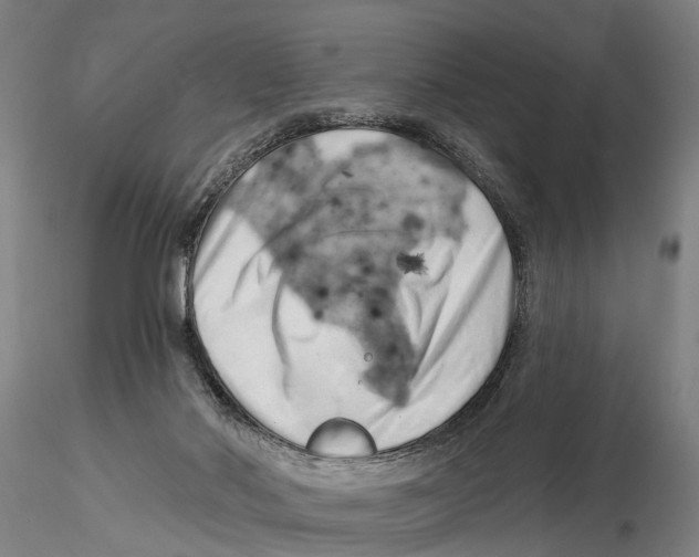 X0000115730022200912101502