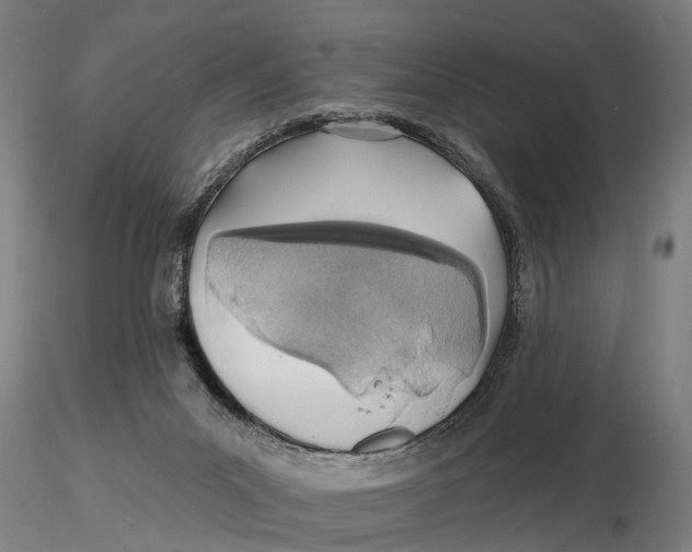 X0000115730023200912101502