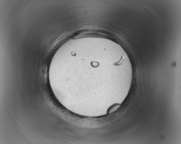 X0000115730024200912101502