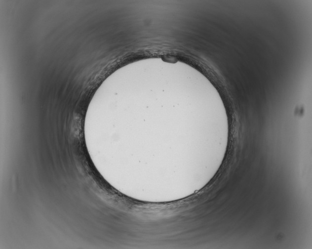 X0000115730025200912101502