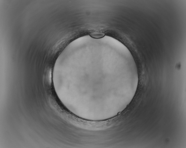 X0000115730027200912101502
