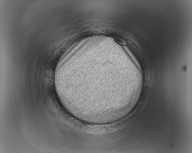 X0000115730029200912101502