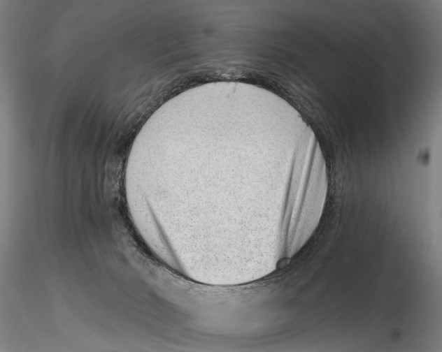 X0000115730030200912101502