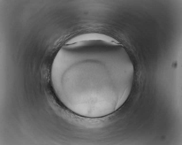 X0000115730031200912101502