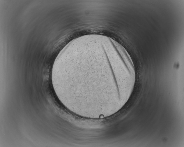 X0000115730032200912101502