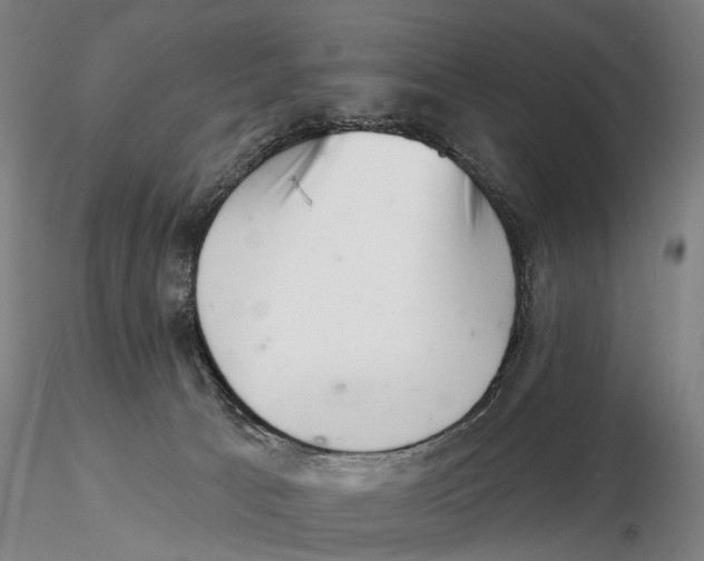 X0000115730033200912101502
