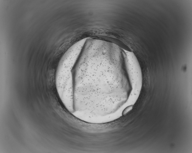 X0000115730034200912101502