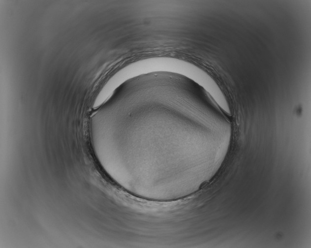 X0000115730035200912101502