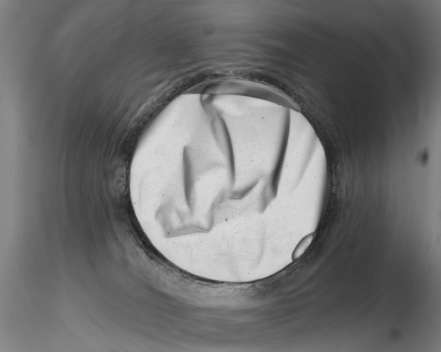 X0000115730036200912101502