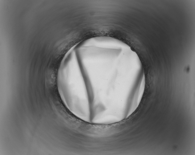 X0000115730037200912101502