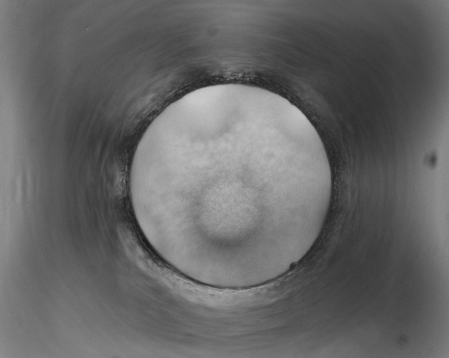 X0000115730039200912101502
