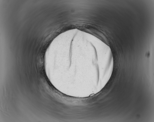X0000115730040200912101502