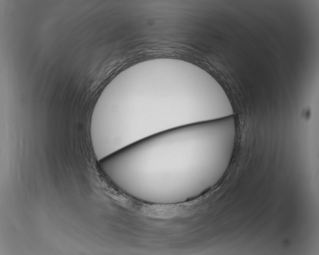 X0000115730041200912101502