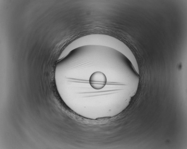 X0000115730043200912101502