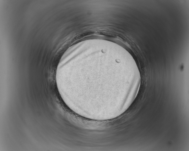 X0000115730044200912101502