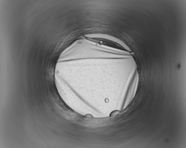 X0000115730045200912101502