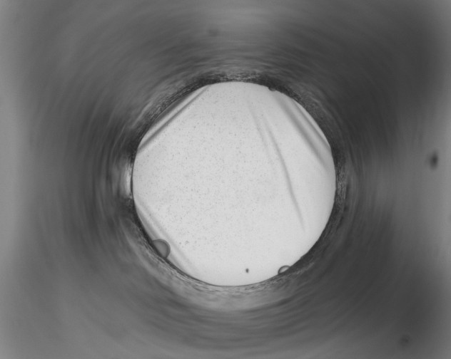 X0000115730046200912101502