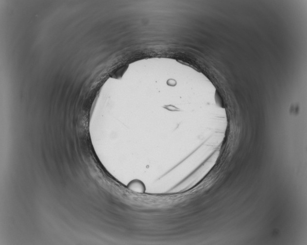 X0000115730048200912101502