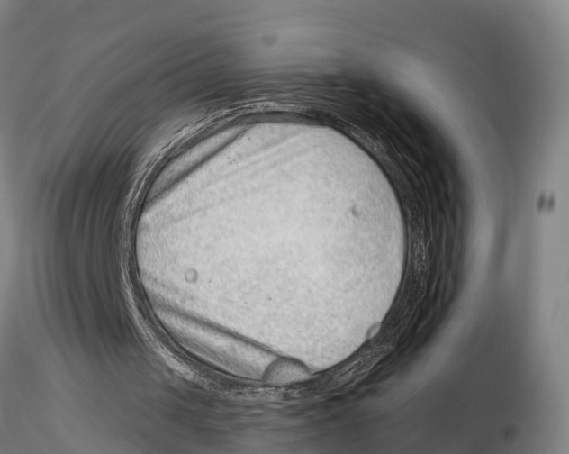 X0000115730049200912101501