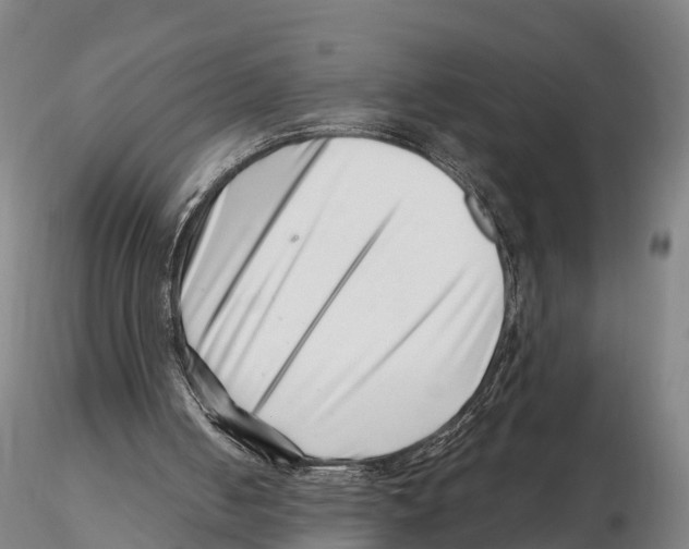 X0000115730050200912101501
