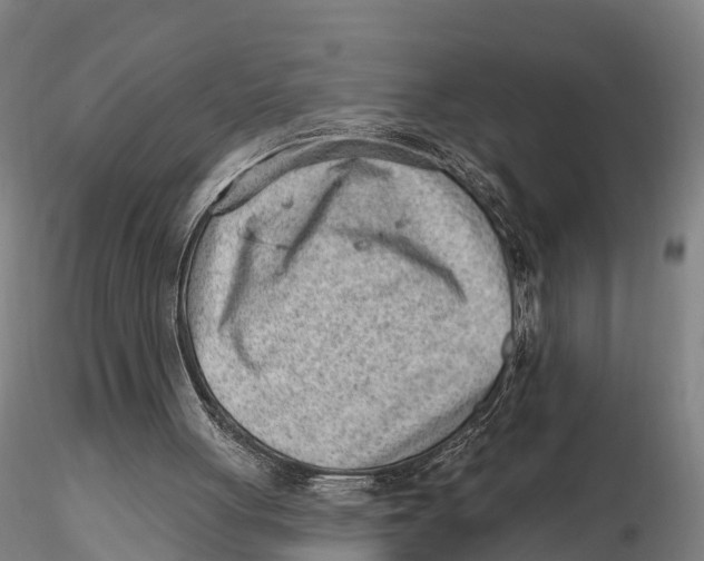 X0000115730051200912101501