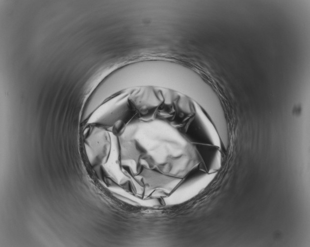X0000115730052200912101501