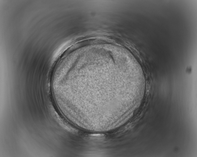 X0000115730053200912101501