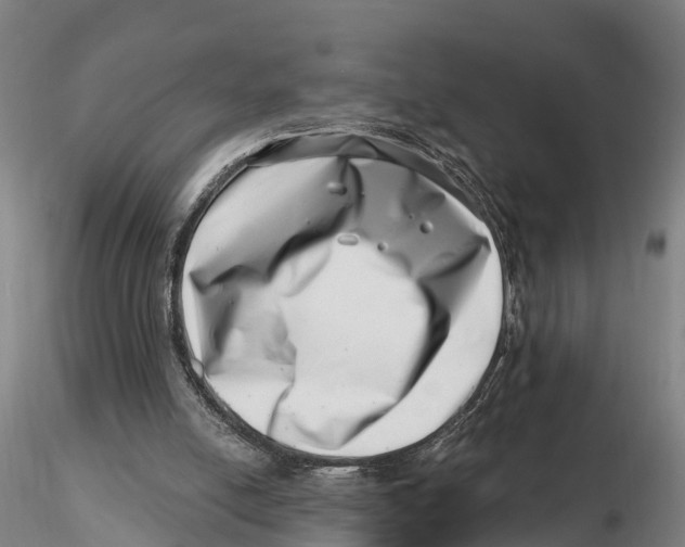 X0000115730054200912101501
