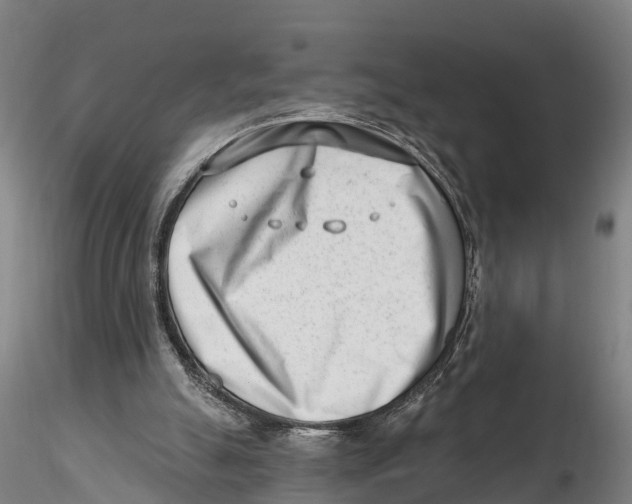 X0000115730055200912101501