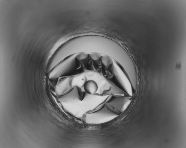 X0000115730056200912101502