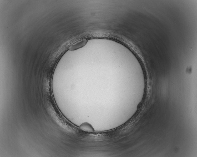 X0000115730057200912101502