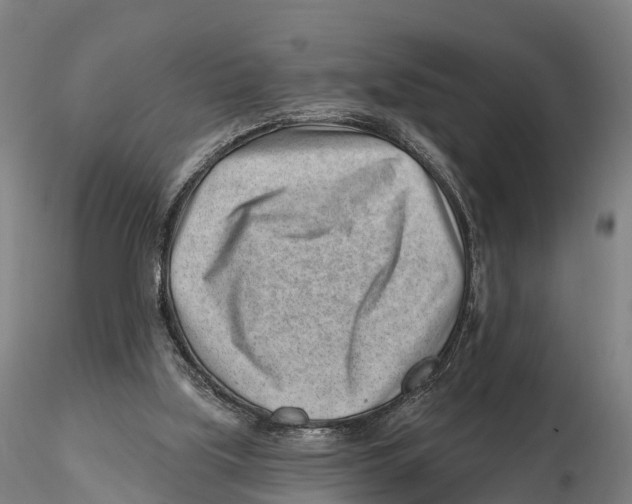 X0000115730059200912101502