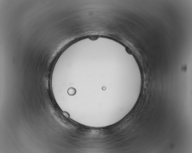 X0000115730060200912101502