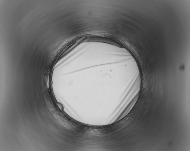 X0000115730062200912101502