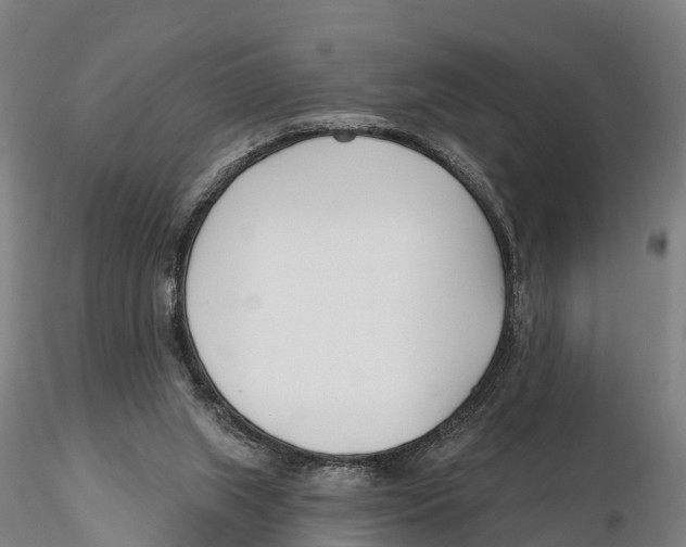 X0000115730063200912101502