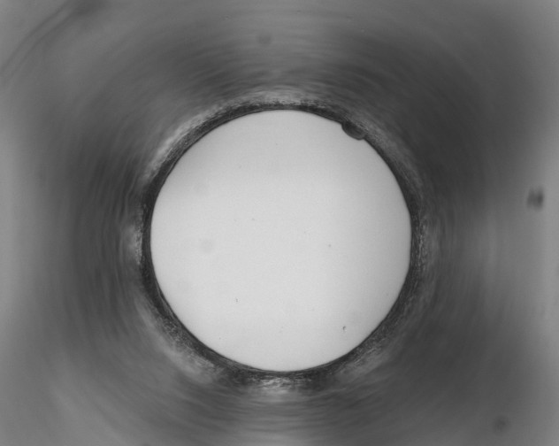 X0000115730064200912101502