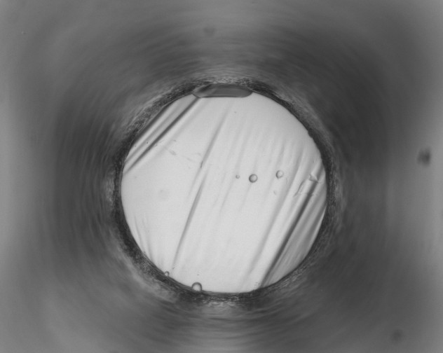 X0000115730066200912101502